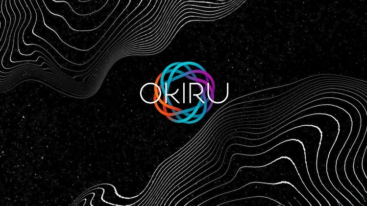 Okiru Consulting Bursary Management for online study in South Africa